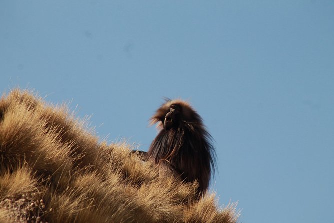 Day Hike Around Lalibela - Asheton Maryam on the return route