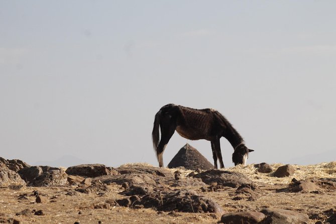 Day Hike Around Lalibela - A private tour led by Maereg
