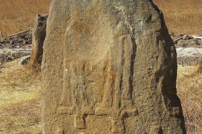 Day Tours to Tiya Stele and Cave Churches of Adadi Maryam - Key points to know before booking