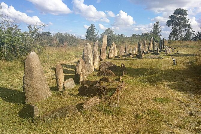 Day Tours to Tiya Stele and Cave Churches of Adadi Maryam - The driving plan and airport timing