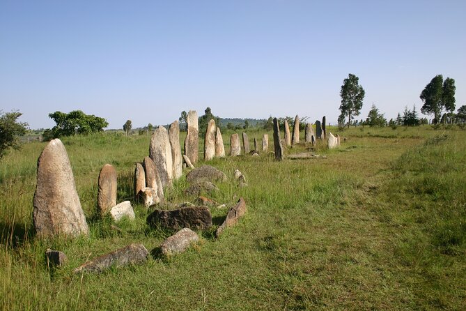 Day Tours to Tiya Stele and Cave Churches of Adadi Maryam - Who should book this experience?