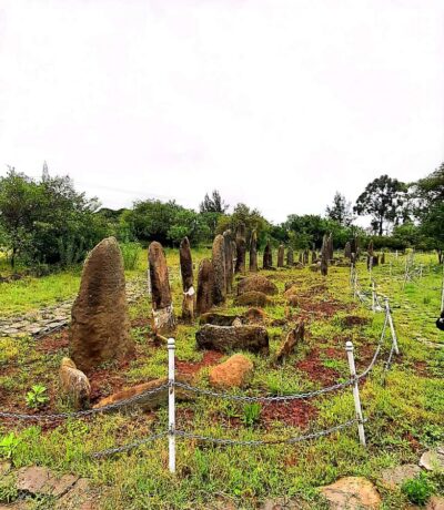 Day trip Adadi Mariam, Melka Kunture and Tiya stele