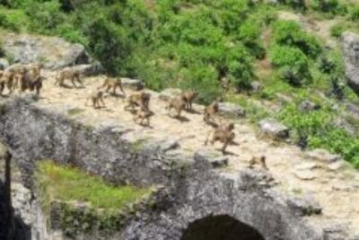 Day Trip Around Addis Ababa