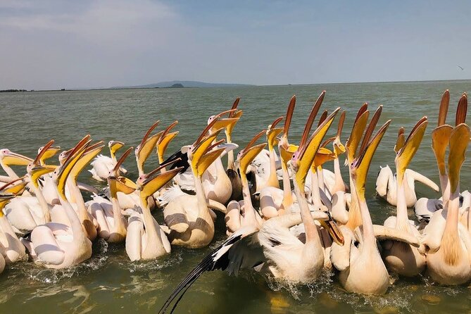Day Trip Bahir Dar, Lake Tana and Blue Nile Falls Tours - Why this Bahir Dar day trip works