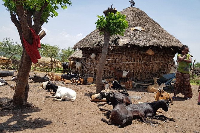 Day-Trip Church of Adadi Mariam from Addis Ababa - Melka Kunture and Ethiopia’s prehistoric past