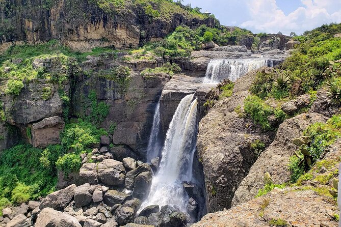 Day Trip From Addis Ababa See Historical Monastery,Stunning Nature,Animals,Birds - Coffee, lunch, and a taste of ordinary Ethiopian life
