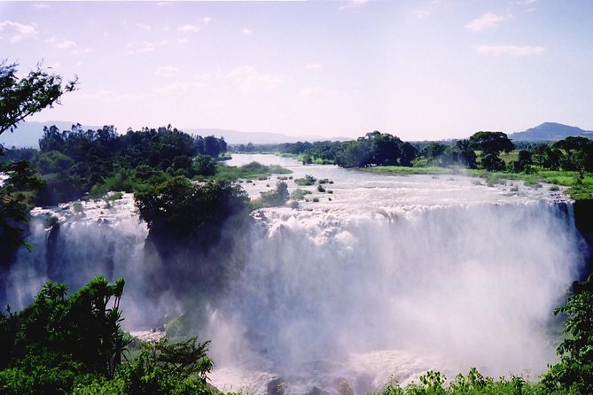 Day trip in Bahir Dar - Key points to know before booking