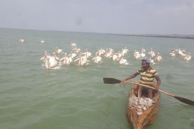 Day trip on Bahir dar. To visit lake tana monasteries and Blue Nile Falls. - Bahir Dar Market and the opening feel of the city