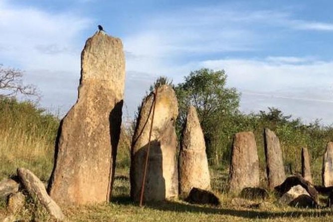 Day trip to Adadi Mariyam, Tiya and Melka kunture - What the guide and driver add