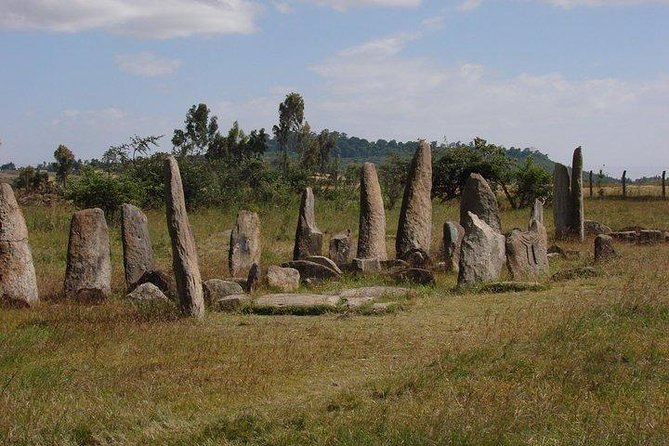 Day trip to Adadi Mariyam, Tiya and Melka kunture - Is $58 good value for a full day?