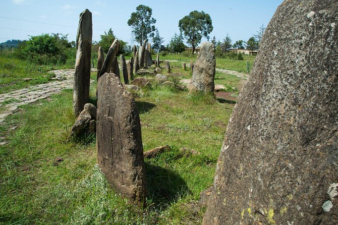 Day trip to Adadi Mariyam, Tiya and Melka kunture - Tiya and its mysterious carved stones