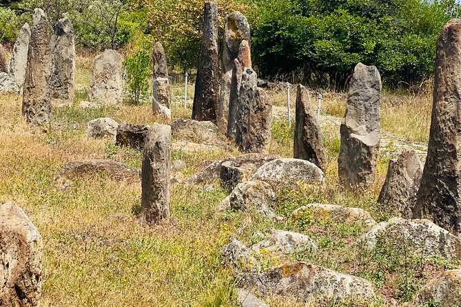 Day Trip to Adadi Rock and Tiya Archeological Excursion - Why this three-stop trip works