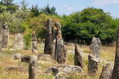 Day Trip to Adadi Rock and Tiya Archeological Excursion
