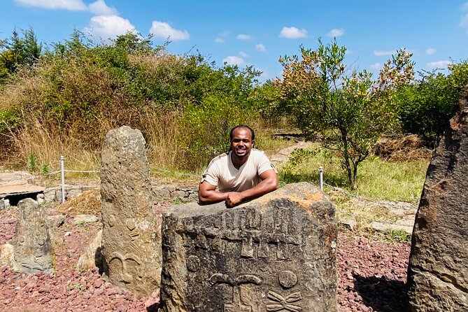 Day Trip to Adadi Rock and Tiya Archeological Excursion - What the $120 price buys you