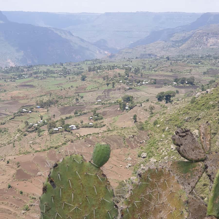 Day trip to Debre Libanose and Portuguese Bridge. - Why this day trip works from Addis Ababa