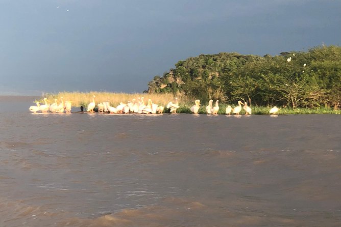 Day Trip To Lake Ziway - Why Lake Ziway Makes Sense as a Day Trip