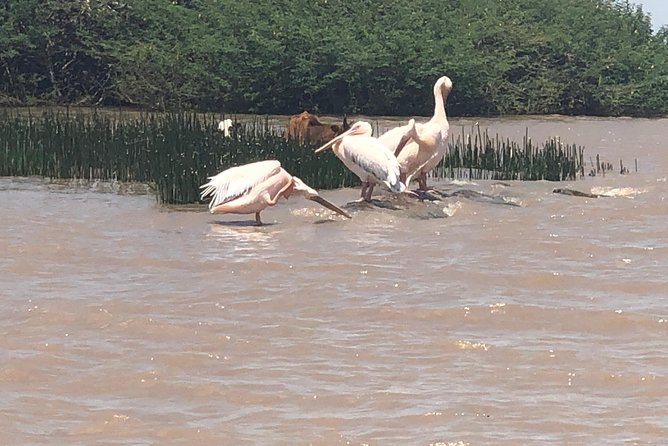 Day Trip To Lake Ziway - Is the $275 Price Good Value?
