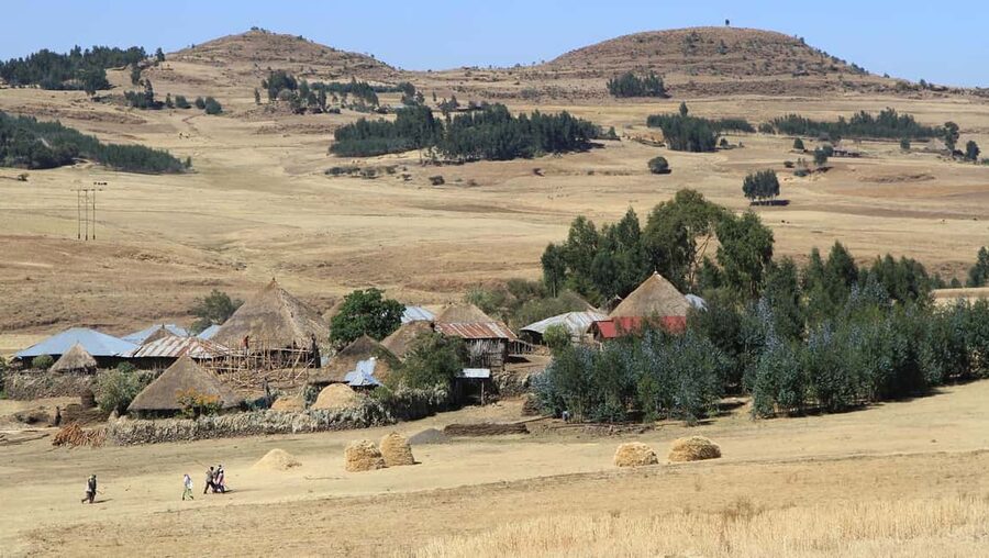 Day Trip To See Monastrys,Amazing landscapes & Animals - Why this makes a good break from Addis Ababa