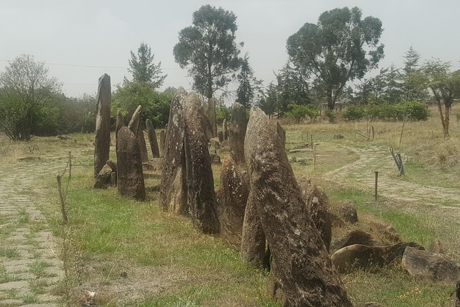 Day Trip to Tiya UNESCO Site & Melka Kunture Archaeological Site - Key points to know before you book