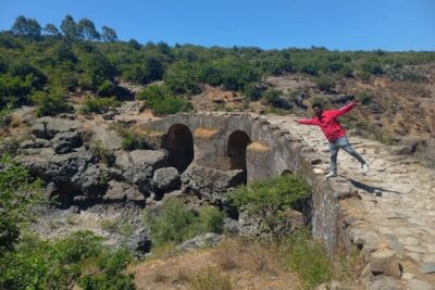 Day Trips from Addis Ababa See Monastery, Nature, Animals, Birds