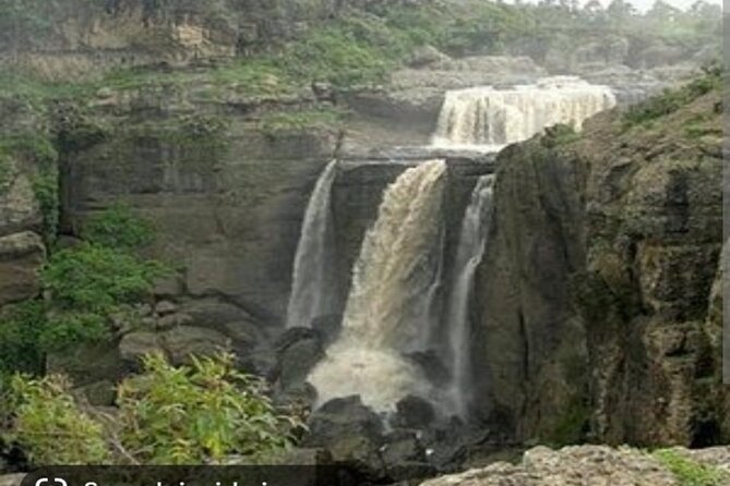 Day Trips from Addis Ababa See Monastery, Nature, Animals, Birds - Is Eight Hours Enough?