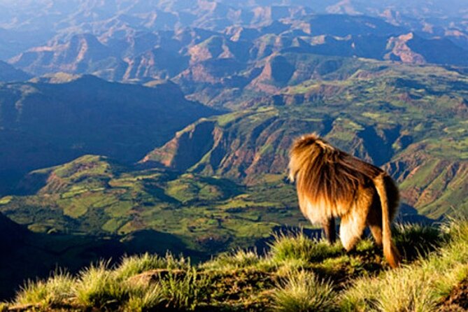 Debre Libanos and Portuguese bridge - Key points to know before you go