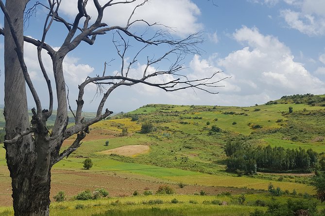 Debre Libanos Monastery and Jemma River Gorge - Day Tour from Addis Ababa - The road north from Addis Ababa