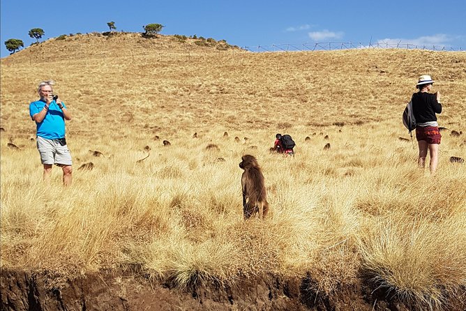 Debre Libanos Monastery and Jemma River Gorge - Day Tour from Addis Ababa - Is $272.77 a fair price?