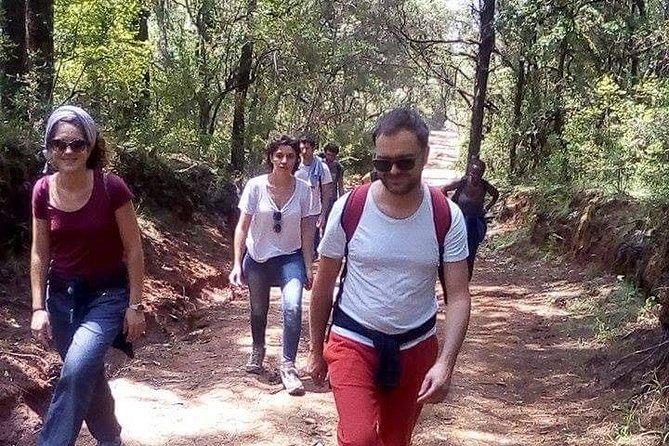Escape from Addis to hike through beautiful Menagesha forest! - Leaving Addis Ababa for Menagesha Forest