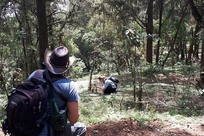 Escape from Addis to hike through beautiful Menagesha forest! - Camping gear adds flexibility, but ask how it is used