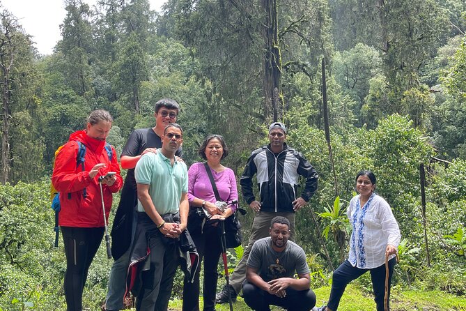 Escape from Addis to hike through beautiful Menagesha forest! - The real value of the $69.34 price