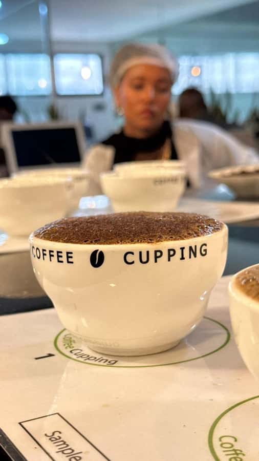 Ethiopia coffee cupping class/Ethiopian food injera making - Why Coffee and Injera Belong Together