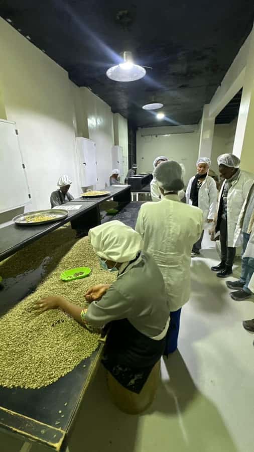 Ethiopia coffee cupping class/Ethiopian food injera making - Is $94 a Fair Price?