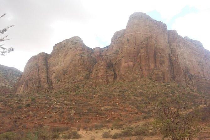 Ethiopia Tigray Tours: Guided tour of Tigray rock hewn churches - The guide’s strongest contribution