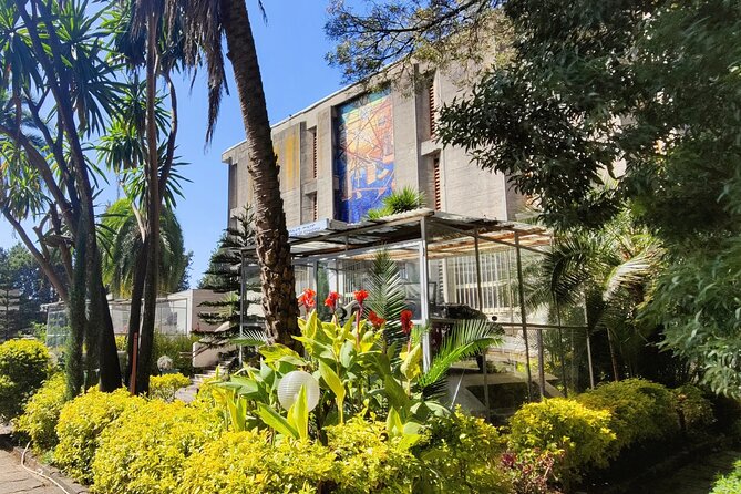 Every day Addis Ababa City Tour - Entoto Mountain: the best place to understand the capital’s setting