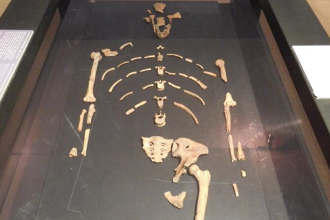 Experience a Cultural and Historical Journey through Addis Ababa - Meeting Lucy at the National Museum