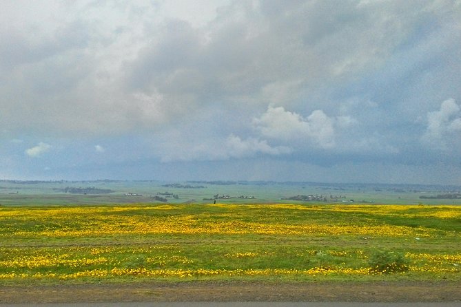 Explore the Ethiopian Rift Valley Lakes and the UNESCO Site of Steles of Tiya - Butajira Lunch and Rift Valley Viewpoints