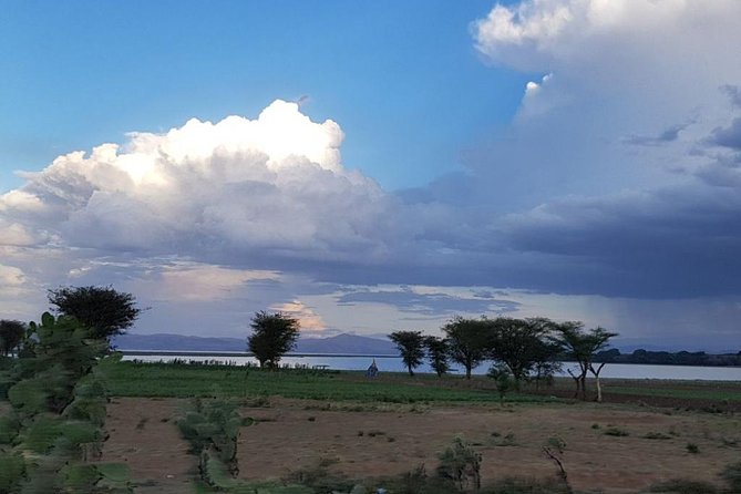 Explore the Ethiopian Rift Valley Lakes and the UNESCO Site of Steles of Tiya - Is $375 Good Value for Your Group?