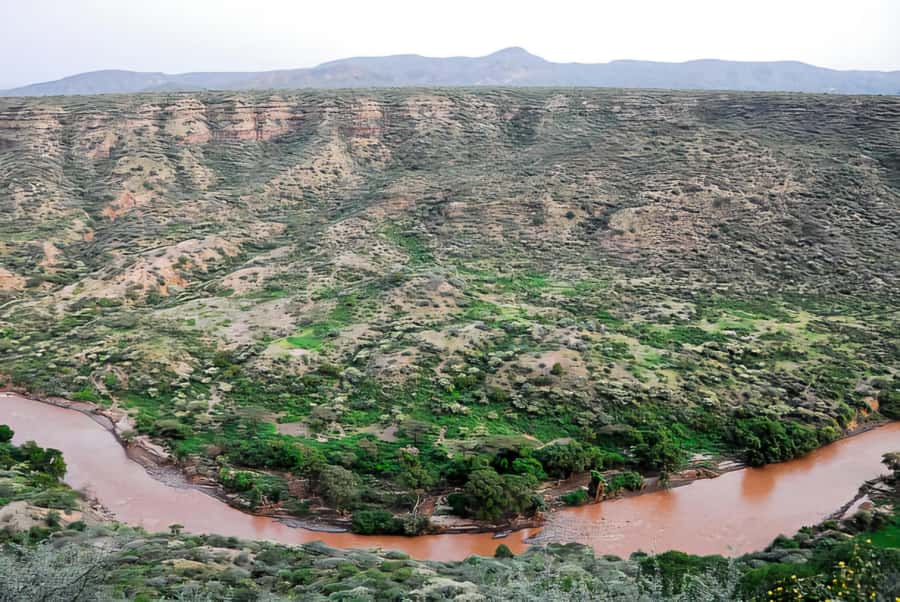 From Addis Ababa: Day Trip To Awash National Park - Key Points To Know Before You Go