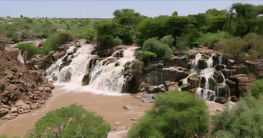 From Addis Ababa: Day Trip To Awash National Park - Is $350 Per Person Good Value?
