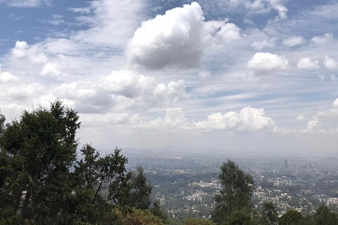 Full Day Addis Abeba City Tour - Private transport, timing, and comfort