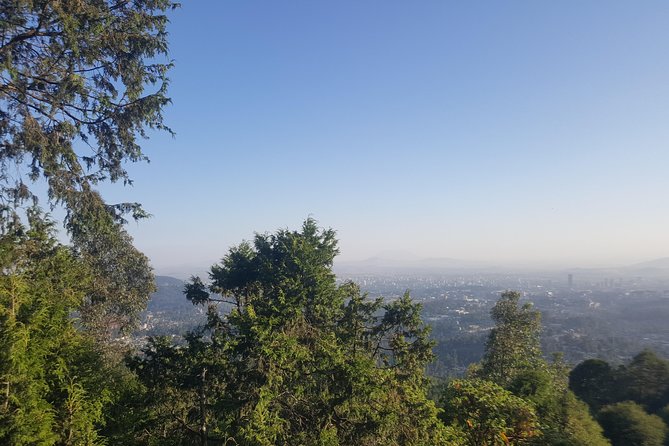 Full Day Tour of Addis Ababa with Hotel Pickup and Drop-off - Entoto, eucalyptus, and a $20 decision