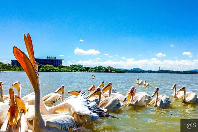 Full day Trip on Lake Tana - Key Points Before You Book