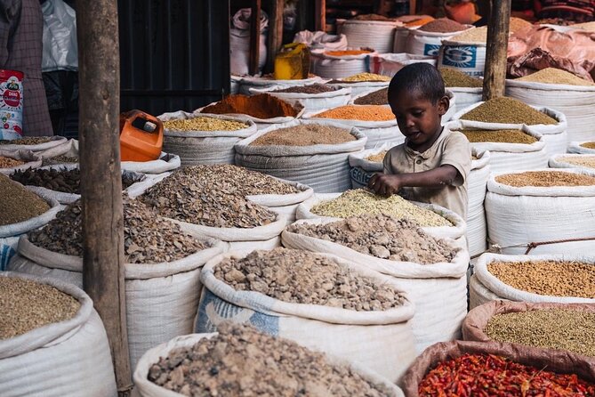 Full & Half Day City Tour Of Addis Ababa - Mount Entoto and Maryam Church