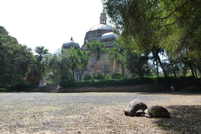 Hidden Treasures of Addis Ababa - Food, Culture and History Tour - A Full Addis Ababa Day for $75