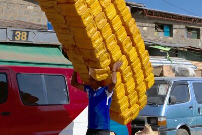 Historical and sightseeing tour in Addis Ababa