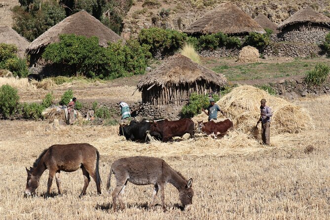 Lalibela 2-Day Eco Trekking Tour - Walking back to Lalibela on Day 2
