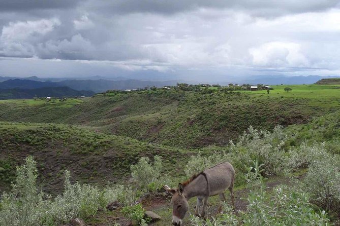 Lalibela churches Guided Tour - Who will enjoy this tour most?