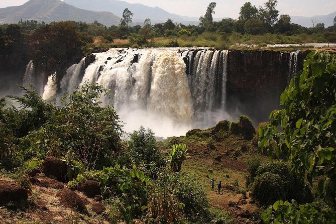 Northern Ethiopia Historic Route - Lake Tana by boat for four hours