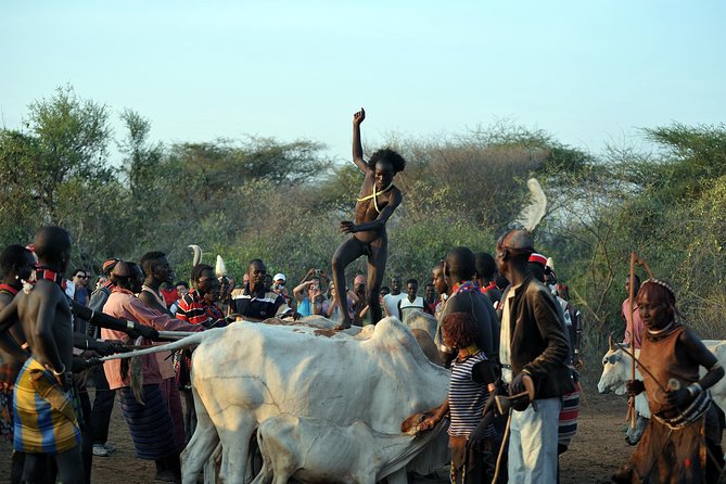 Omo Valley 5 Days - Transport, accommodation, and what the price covers